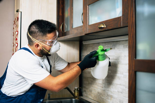 Best Pest Removal Services  in Bradford, PA