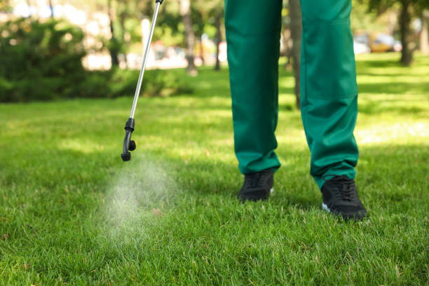 Trusted Bradford, PA Pest Control Experts