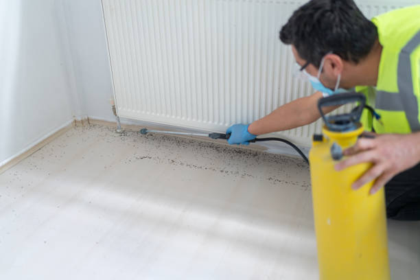 Best Pest Control Near Me  in Bradford, PA